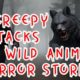 3 Creepy Attacks by Wild Animals  Horror Stories