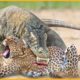 35 Most HORRIFIC Predator Animals in the Wild | Animal Fight