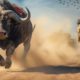45 Moments The Lion Takes Down the Buffalo: How This Chase Takes an Unexpected Turn | Animal Fights