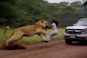 45 Moments When Animals Go On A Rampage | Animal Fights