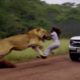 45 Moments When Animals Go On A Rampage | Animal Fights