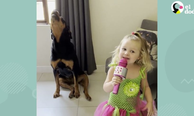 A este rottweiler le encanta cantar con su hermanita humana | El Dodo