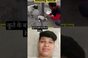 Amazing rescue | animal rescue  #shorts #reaction video dog rescue #dog #puppy #Animal rescue