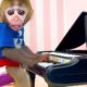 Baby Monkey Chu Chu Plays The Piano and Plays with Puppies in the Garden