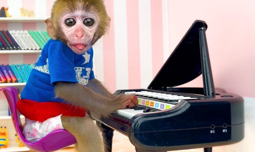 Baby Monkey Chu Chu Plays The Piano and Plays with Puppies in the Garden