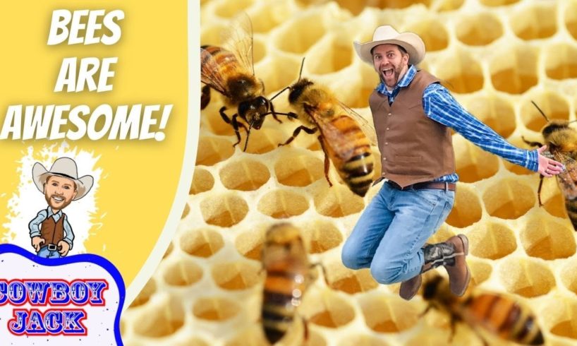 Bees Are Awesome for Kids