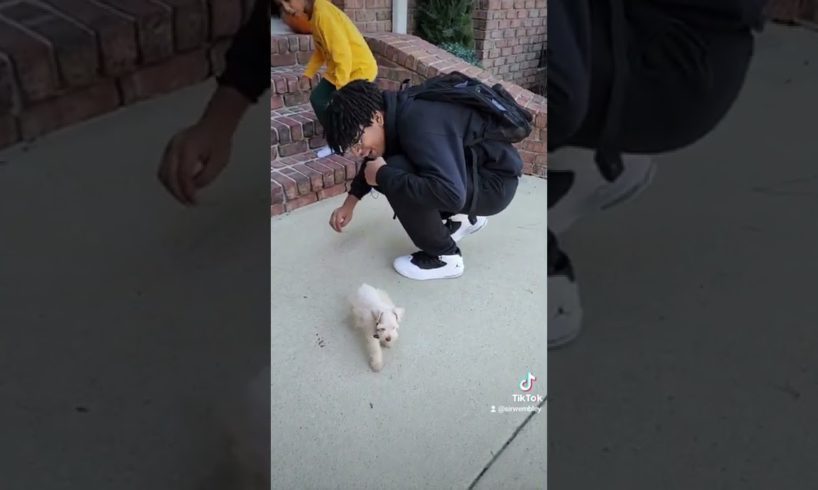 Best new puppy surprise ever!