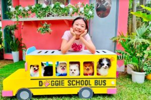 Bug's Puppy Preschool Pet Routine | Little Big Toys