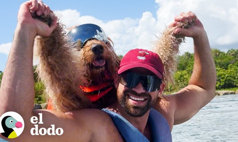 Chico decide que su perro será su acompañante dondequiera que vaya | El Dodo