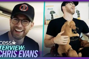 Chris Evans Snuggles W/ Rescue Dogs at Shelter