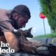 Couple Fills Their House With Rescued Wild Animals | The Dodo Heroes