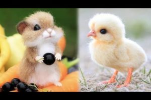 Cute Baby Animals Videos Compilation | Funny and Cute Moment of the Animals #4 - Cutest Animals