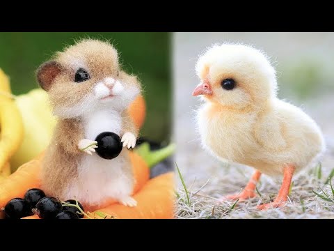 Cute Baby Animals Videos Compilation | Funny and Cute Moment of the Animals #4 - Cutest Animals