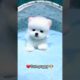 Cute puppy dog❤️|baby dog|fuuny puppy🐶|cute puppy status video😂|cute|cute little puppy video|#shorts