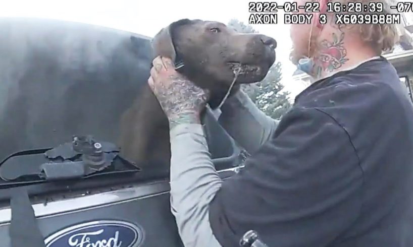 Dog Rescued From Burning Car Thanks Cop With Kisses