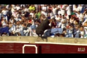 Enraged Bull Leaps into Stands | World's Scariest Animal Attacks