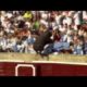 Enraged Bull Leaps into Stands | World's Scariest Animal Attacks