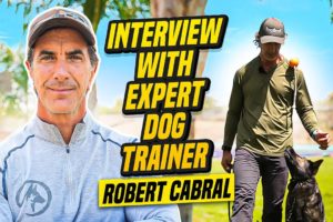 Expert Advise From Professional Dog Trainer Robert Cabral