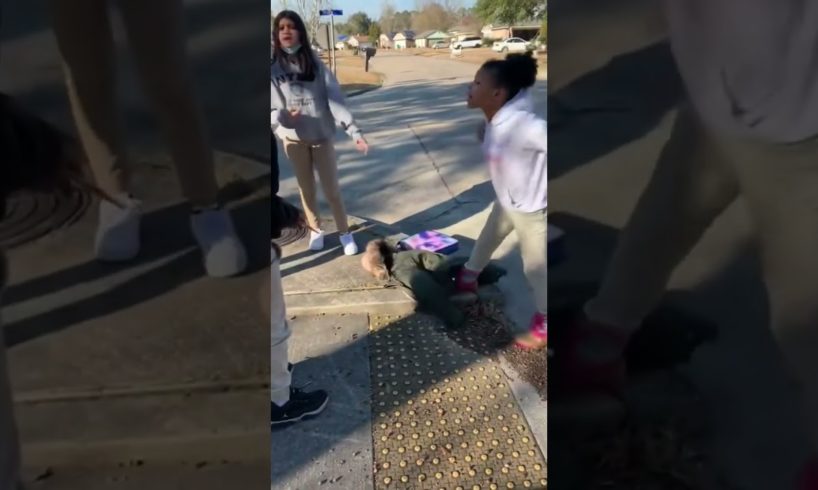 Fight compilation #3