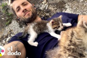 Gatitos están atados como velcro a su papá | Cat Crazy | El Dodo