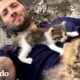 Gatitos están atados como velcro a su papá | Cat Crazy | El Dodo