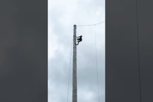 Guy Climbs Wooden Pole At Lumberjack Games | People Are Awesome #shorts