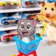Hamster and Talking Tom Explore Toy Supermarket | Funny animals | Life Of Pets Hamham