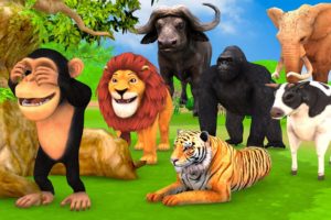 Hide and Seek Game With Cow Mammoth Elephant Tiger Lion Gorilla Dinosaur Wild Animals Escape Game