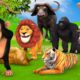 Hide and Seek Game With Cow Mammoth Elephant Tiger Lion Gorilla Dinosaur Wild Animals Escape Game