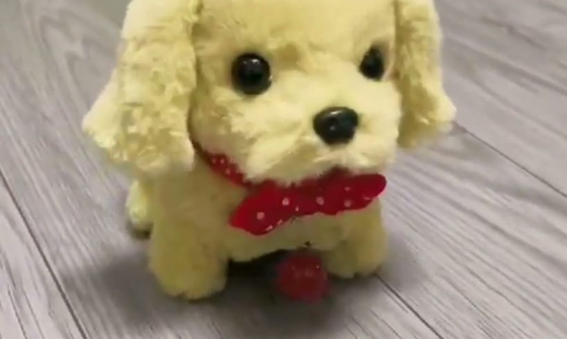 Horse Race Dog Race Videos For Kids | Animals Names And Sounds | Toys For Children