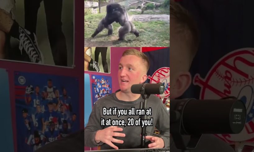 How Many People Would Be Needed to Defeat a Gorilla?! #shorts #gorilla #animal #fight #human
