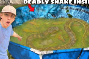 I Found an Abandoned Pond INFESTED with Deadly Snakes!