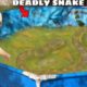 I Found an Abandoned Pond INFESTED with Deadly Snakes!