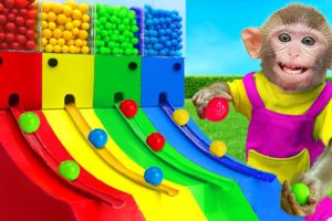 KiKi Monkey playing Giant Colorful Gumball Vending Machine with Cute Baby | KUDO ANIMAL KIKI