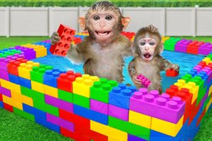 KiKi Monkey playing in the DIY Colorful Lego Swimming Pool with Naughty Baby | KUDO ANIMAL KIKI