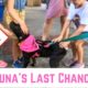 🐶 Luna's Last Chance At Survival - From Sweet Puppy To High Risk of Euthanasia‼️