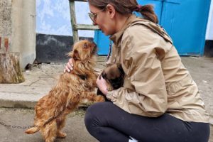 Mama Dog on Chain Begging us Not to Take her Tiny Puppy Away from her