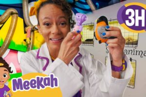 Meekah Rescues the Animals | Educational Videos for Kids | Blippi and Meekah Kids TV