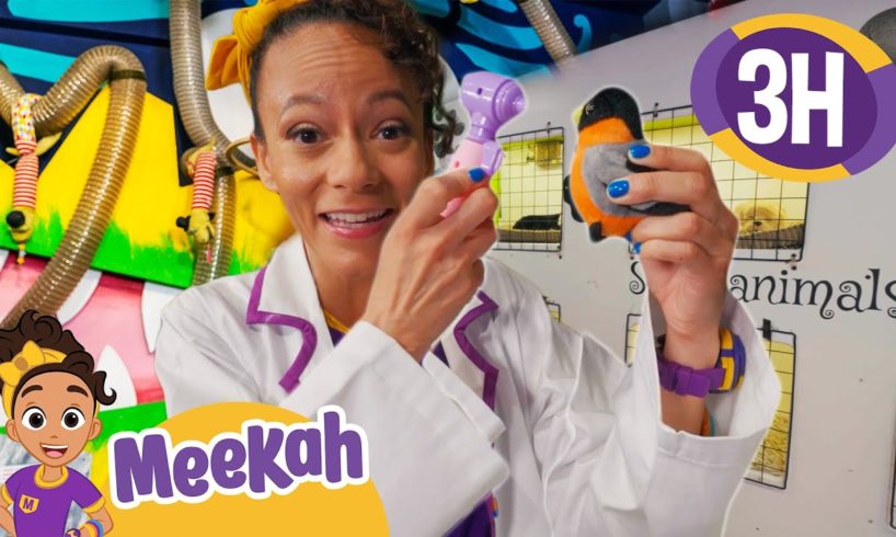 Meekah Rescues the Animals | Educational Videos for Kids | Blippi and Meekah Kids TV