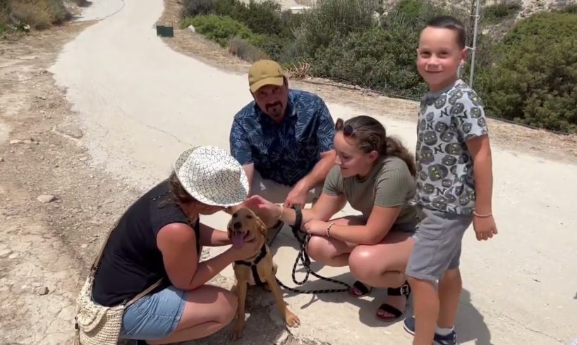 Minos ( one of Floras puppies ) is Adopted 😍 A lovely family from France- Takis Shelter