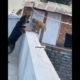 Monkey v/s Dog fight 😱 || monkey fight #animals #dog #monkey #shorts  #youtubeshorts