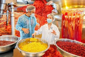 Most EXTREME Sichuan FACTORY in the World! RARE Access to the Spiciest FACTORY in China!