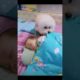 🐕🐕❤️❤️Most heartwarming & touching~ Cute Dog Takes Care Of Cute Baby😘😘