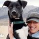 Mujer rescata a 3 perros justo a tiempo | Puro Pitbull | El Dodo