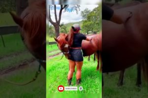 Naughty Horse vs Cute Girl. Animals Funny video