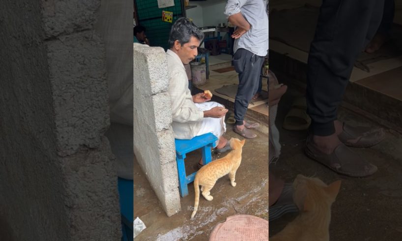 OMG! Poor cat&Thank you good people who saved the dog's life🥹 #shorts