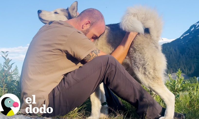 Perro monta en la motocicleta de su papás por los 50 estados | El Dodo