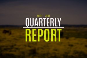 Q2 Report - 736 Animals Rescued!