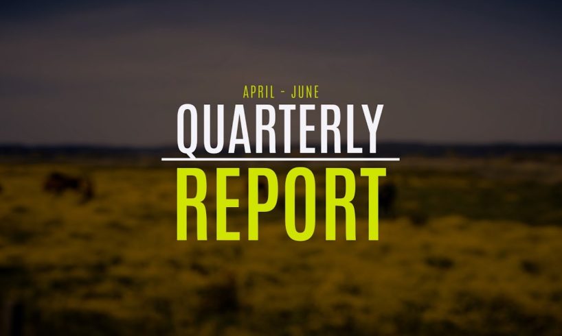 Q2 Report - 736 Animals Rescued!