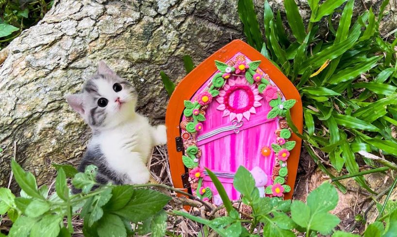Rescue the World's Strangest Kitten - Then the Kitten Disappears Once Again